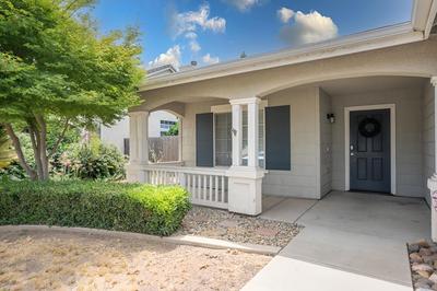 New Listing University Pastoral