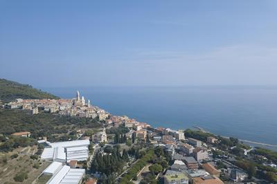 Cervo 319C With Shared Pool