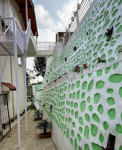 Mohini's Lakeview Cottages