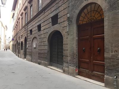 Numero 12 Fior di Narciso 110