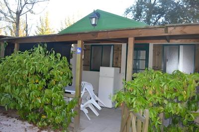 Camping Barchi