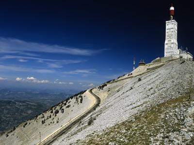 La Ferme des Bélugues