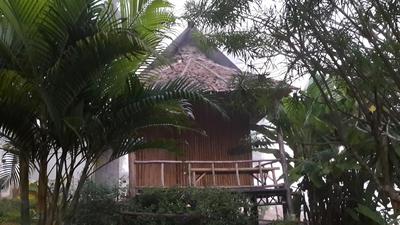 Nusha Homestay