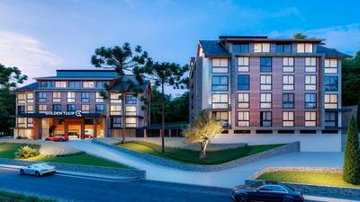 Golden Tulip Canela OFICIAL