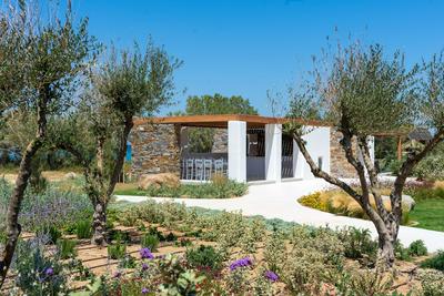 Ammilia Villa Naxos