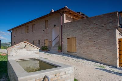 Società Agricola Zucchera S.S.