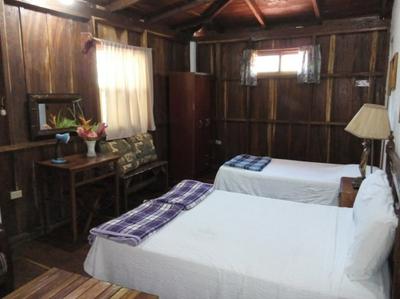 Eco Posada Tortuga Verde