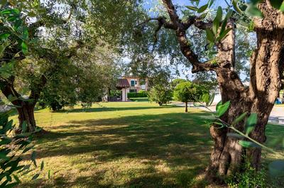 Nonna Bianca Farmhouse
