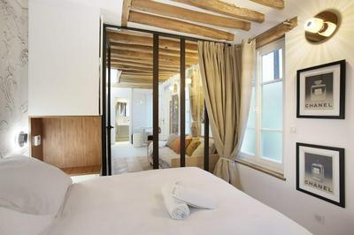 Superb Apartment Place des Vosges Le Marais