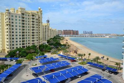 Beautiful Sea View Palm