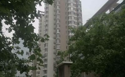Beijing Yangyangjia Apartment photo 2