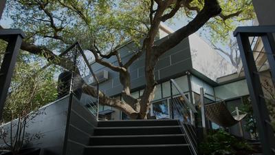 Frame Hotel - Treehouse