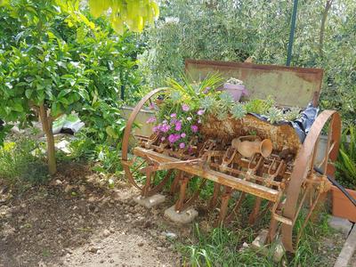B&B Villa Lucia