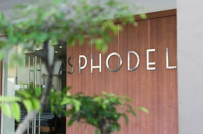 Asphodel Inn Singapore