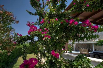 Villa Armonia two Bedroom Villa