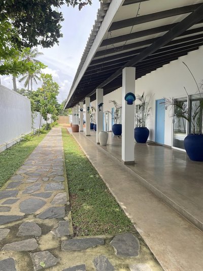 Chelsi Blu by The Governor