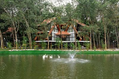 Wayanad Vista Palm View Homes