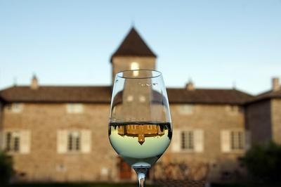 Le Chateau De Besseuil