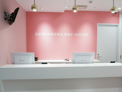 Akihabara BAY HOTEL - Caters to Women