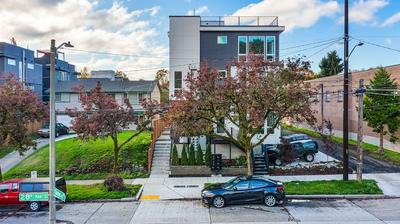 Red Maple Retreat in Judkins Park