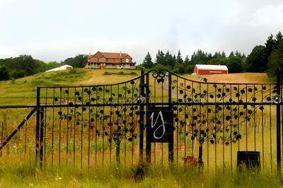 Youngberg Hill