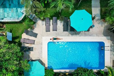 Wide Mouth Frog At Quepos