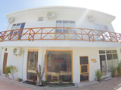 Apex Inn