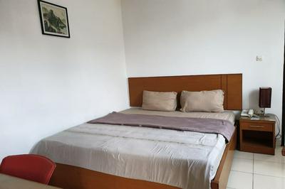 OYO 2991 Satya Homestay