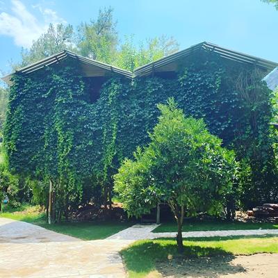 Camlik Pansiyon - Adults Only (16+)