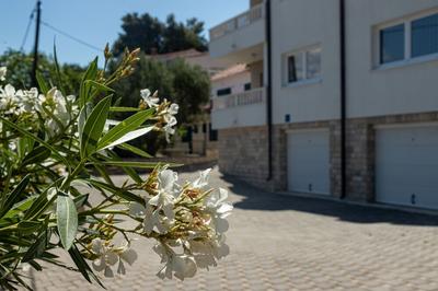 Apartments Janja
