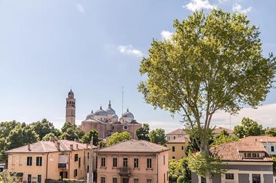 Grey Pearl in Prato della Valle
