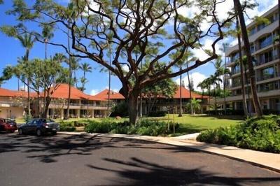 Maui Kaanapali S #b242 Studio Bedroom Condo by RedAwning