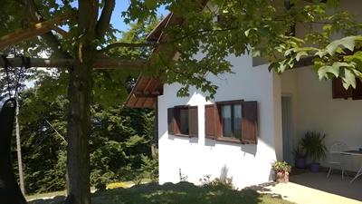 B&B White Rose