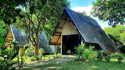 Cashewnut Tree Resort