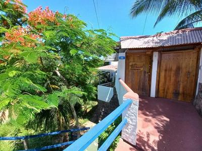 El Bambú Galápagos