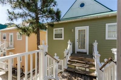 Purple Parrot Village