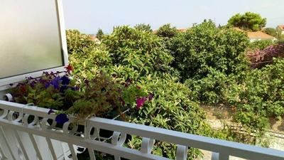 Sreca - 150m From the Beach - A1 - Zeleni