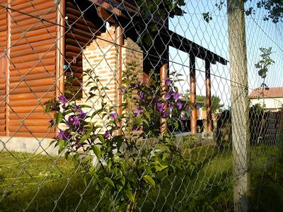 Totoras Apart Mar De Ajo