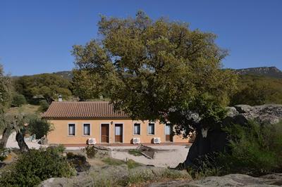B&B Chicchiritanos