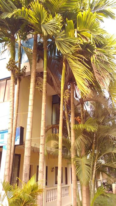Morjim Bay Resort