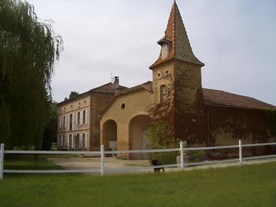 Le Platane