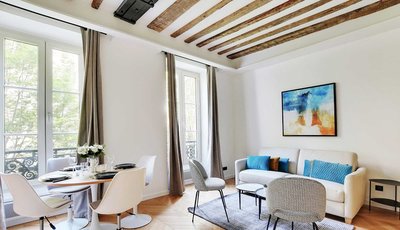 Magnificent Apartment in Le Marais