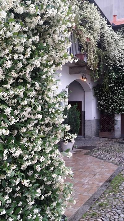 Appartamento Da Sei In Corte Tra Il Centro E Fiera