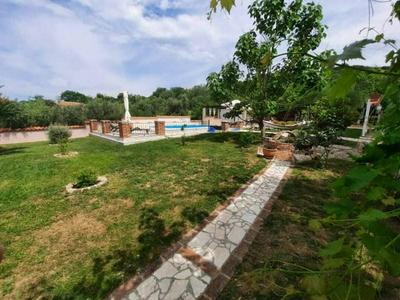 Robi- Swimming Pool and Beautiful Garden - A1-žuti