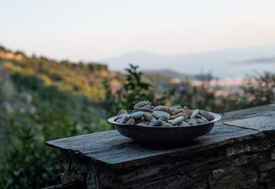 Secluded Cottage Guesthouse in the Mountains