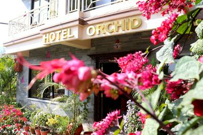 Hotel Orchid