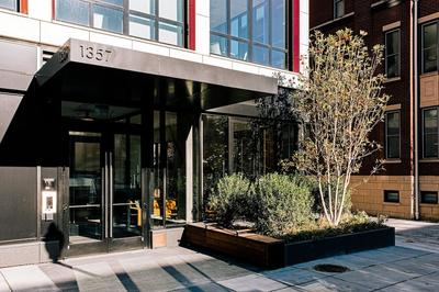 BLACK SWAN - Liz DC - Executive Flat