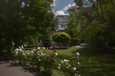 Rubin Wellness & Conference Hotel