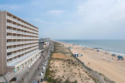 Seaside Star On The Boardwalk!