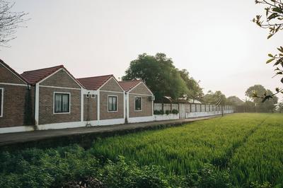 Tam Coc Ninh Binh Bungalow